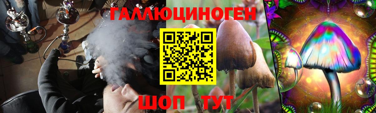 Галлюциногенные грибы MAGIC MUSHROOMS Саров
